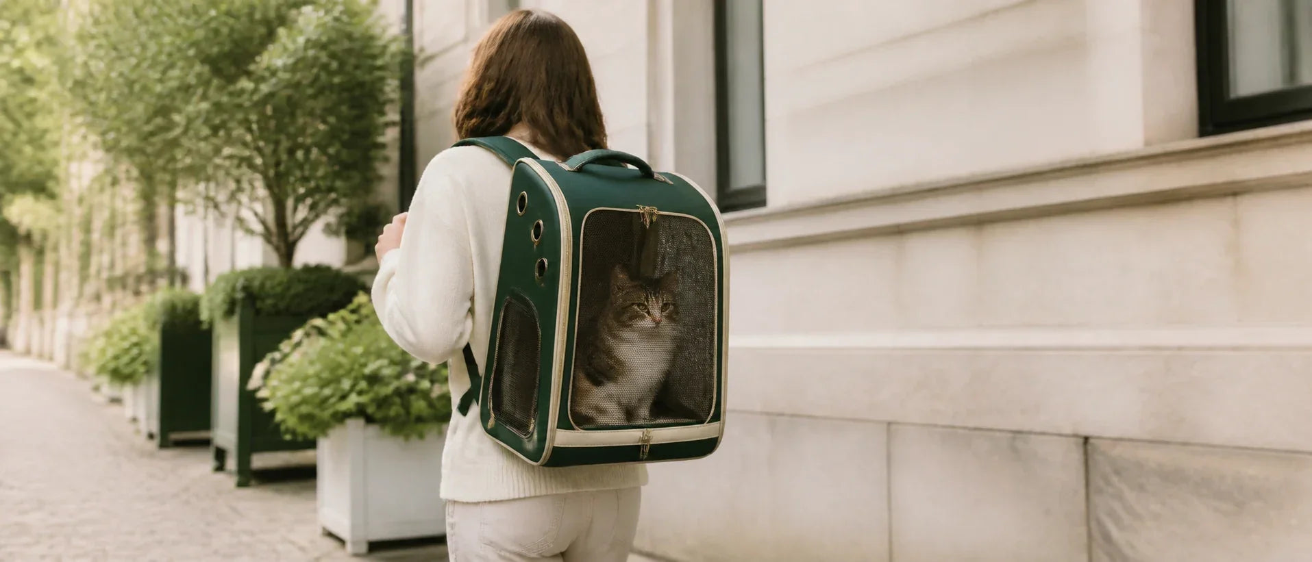 Cat travelling calmly in a roomy ventilated backpack carrier with large mesh front on a short walk - Petifo
