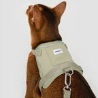 HiDream Vest Series Cat Harness - Petifo