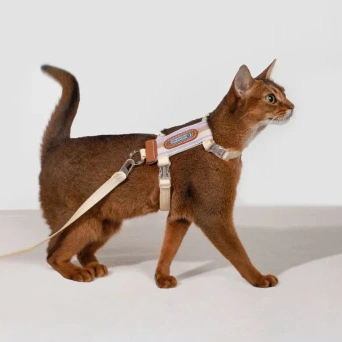 HiDream Stripe Series cat harness - Petifo