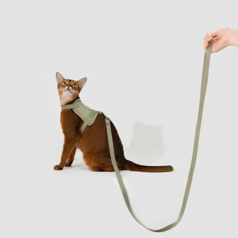 HiDream Vest Series Cat Harness - Petifo