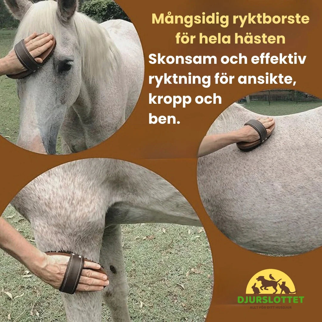 2-pack Premium Horse Brush in Wood Gentle and effective grooming for face, body and 
legs. - Petifo