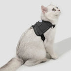 HiDream Vest Series Cat Harness - Petifo