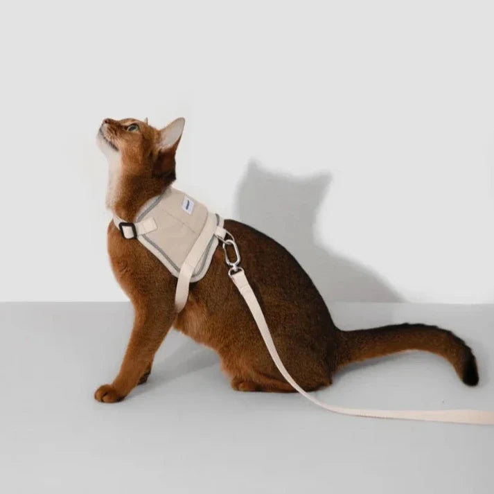 HiDream Vest Series Cat Harness - Petifo