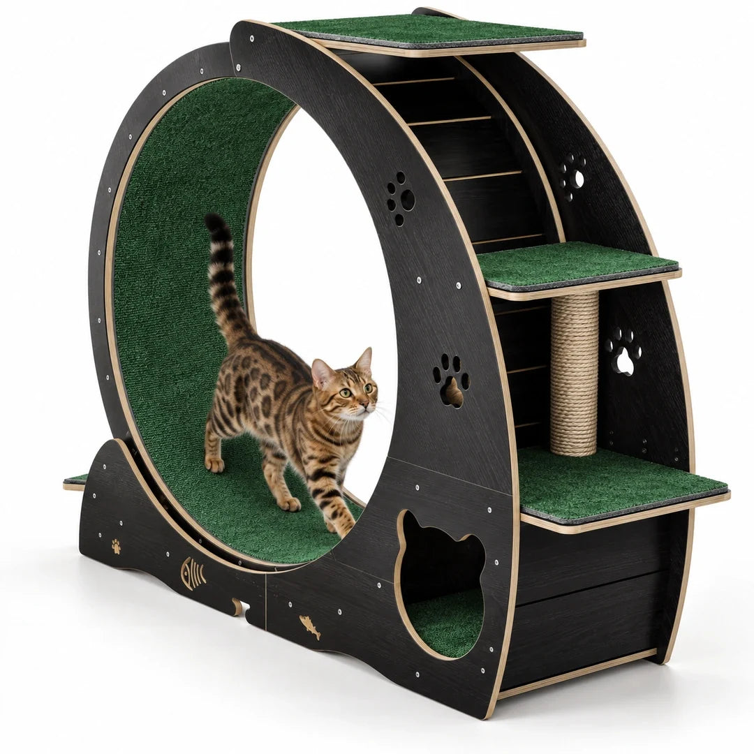 5-in-1 Cat Wheel & Tree - black station with Bengal cat - Petifo
