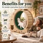 5-in-1 cat wheel and tree benefits for indoor cat owners