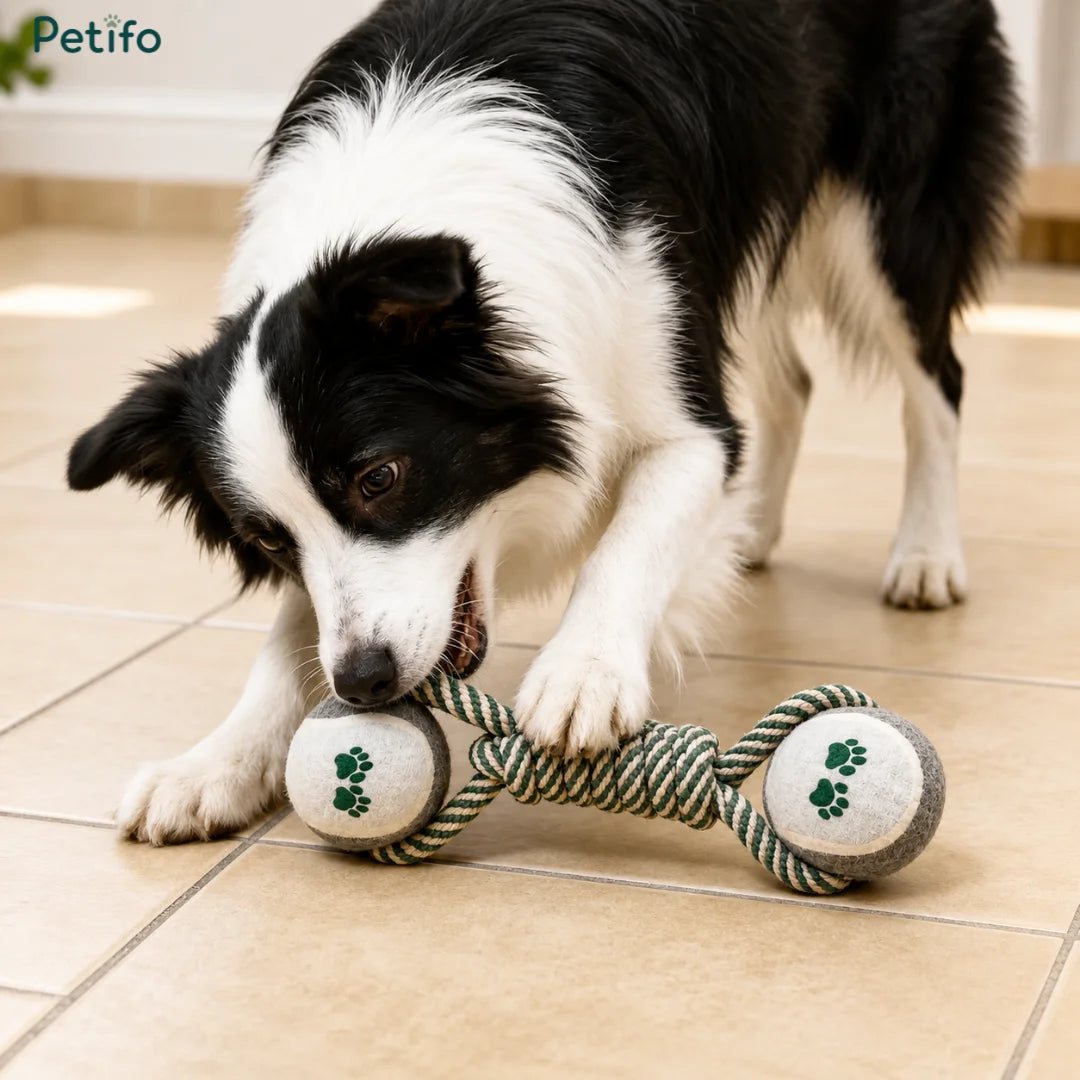 Juguete masticable ChewUp para perros