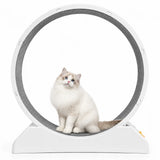 Rueda de ejercicio para gatos