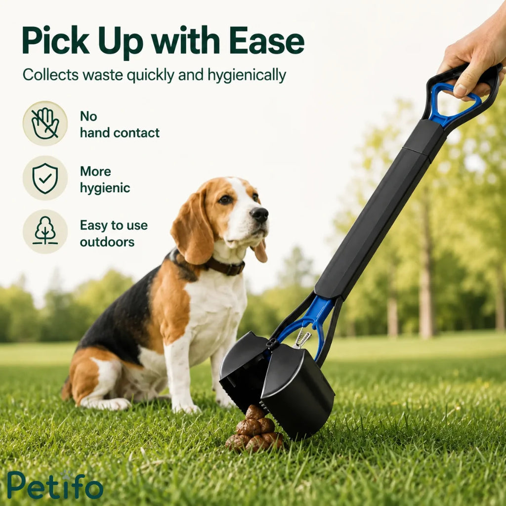 Beagle sitting on grass while a person uses a long-handled pooper scooper for clean and hygienic waste collection.