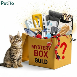 Gato