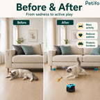Before and after comparison showing an active cat playing with an interactive toy and preventing sofa scratching.