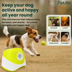An active dog chasing a ball thrown by a Petifo automatic launcher, highlighting the toy's benefits for reducing stress, boredom, and obesity in dogs.