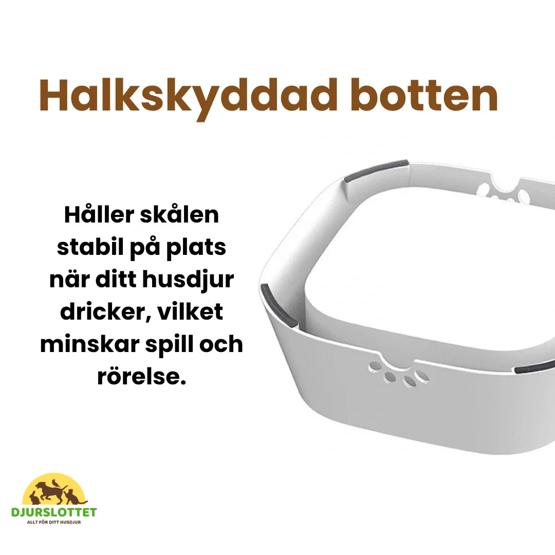 Anti-Spill Water Bowl Non-slip base - Petifo