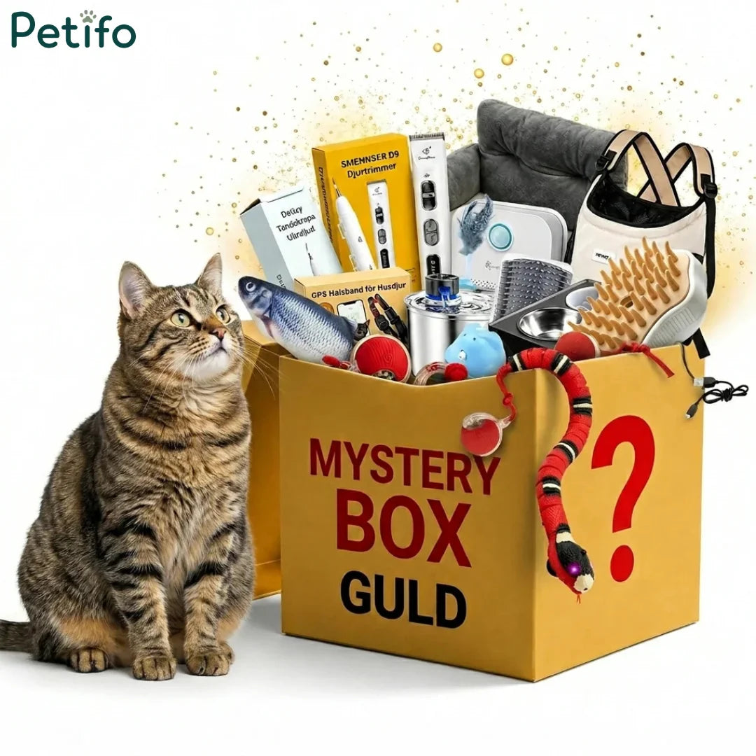 Petifo Guld mystery box assortment of cat toys and pet gear with a curious tabby cat.