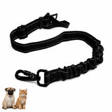 Cinturón de seguridad reforzado para mascotas
