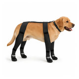 Botas de invierno para perros con correa en H SnowGrip
