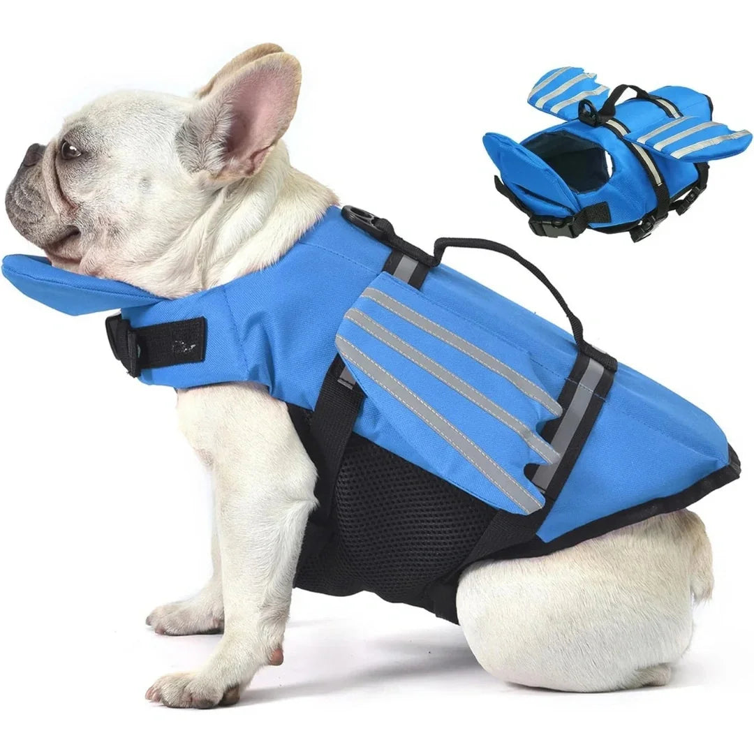 Side profile of a French Bulldog wearing a blue dog life jacket with reflective safety strips and a detachable top float.