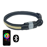 Collar LED LunaPaw para perros