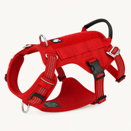 Rojo