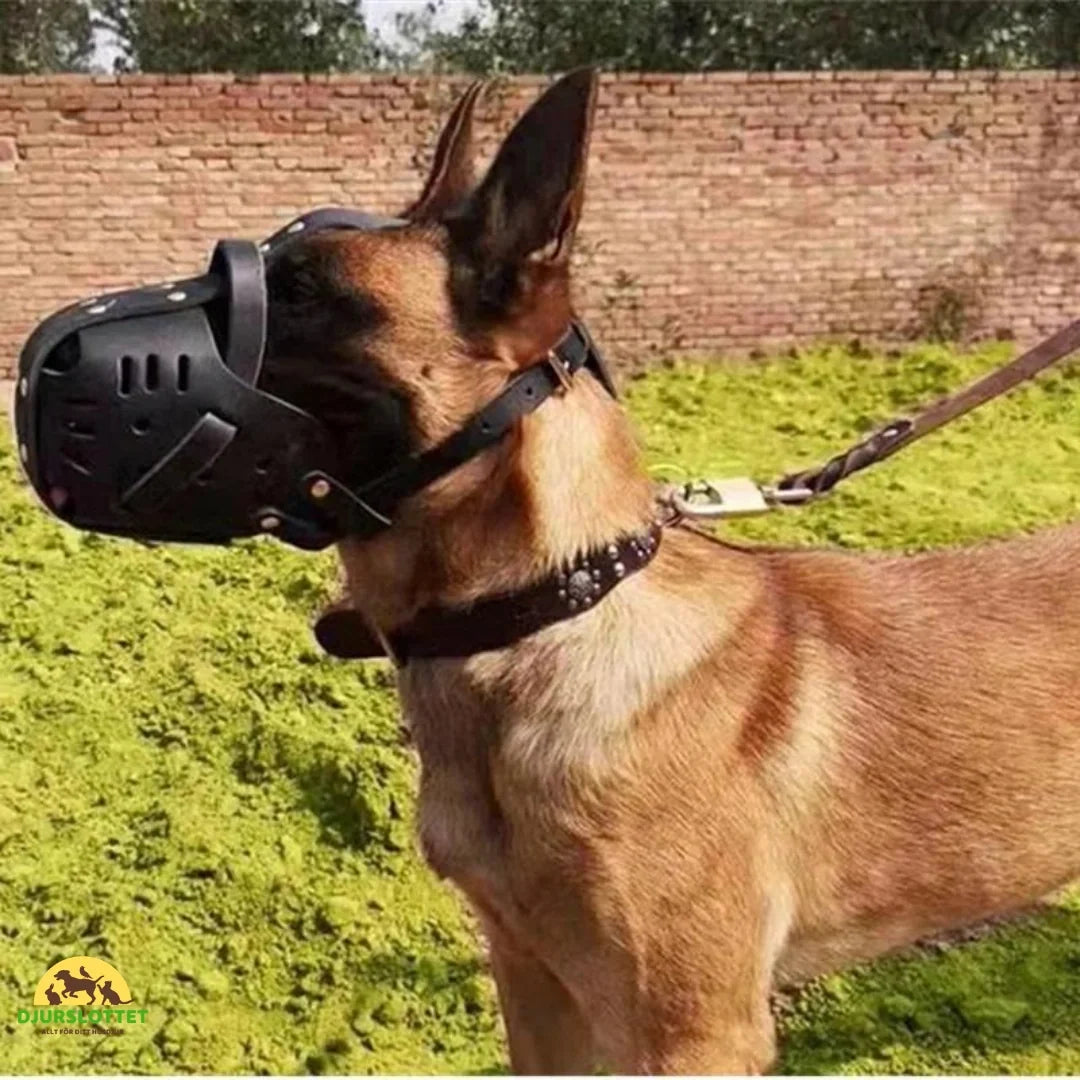 Canimora Muzzle for Large Dogs Reduces the risk of bites when the situation gets intense Petifo