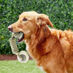Chewup Chew Toy for Dogs Easy grip - Petifo