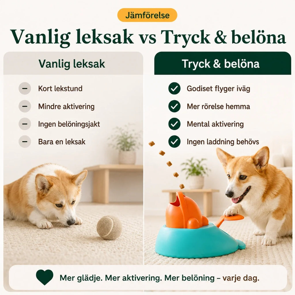 Clicker treat launcher compared with an ordinary toy - Petifo