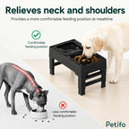 Raised dog feeder promoting a comfortable feeding posture to relieve neck and shoulder strain.