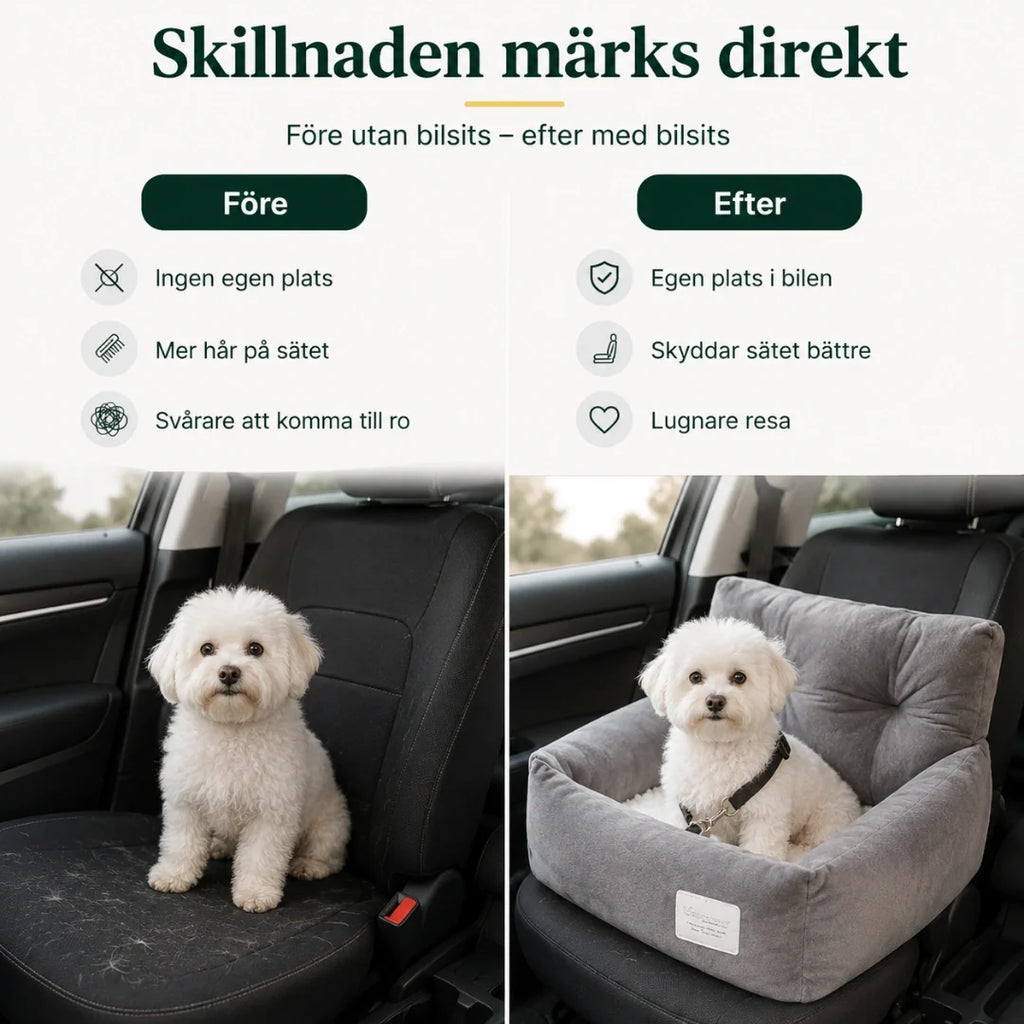 ComfyRide Car Seat with Safety Strap after - Petifo
