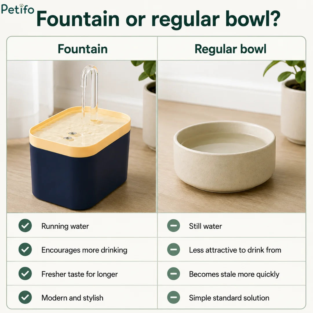 Comparison infographic detailing the advantages of a Petifo water fountain versus a regular static water bowl.