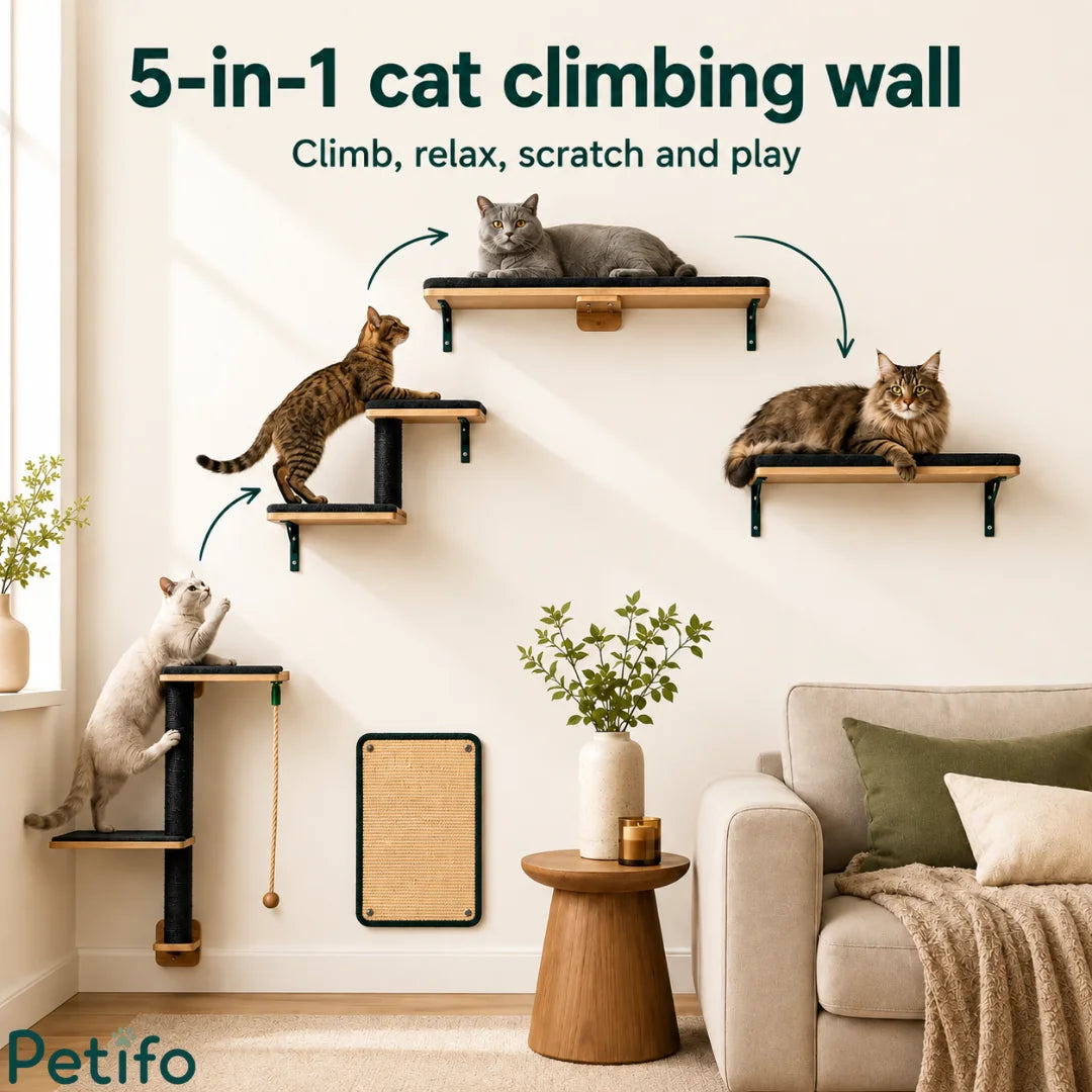 5-in-1 Petifo cat climbing wall, providing a complete system for climbing, relaxing, and scratching.