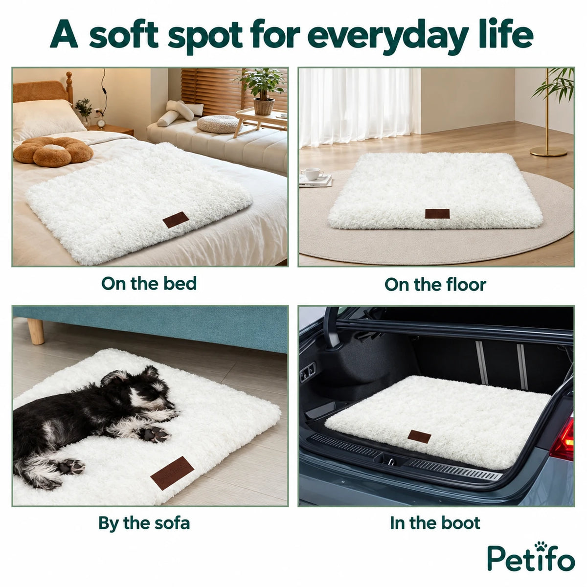CozyCloud on a bed, on the floor, beside a sofa and in a car boot