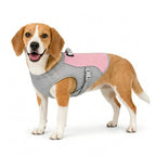 Detixy Cooling Vest Size M Pink - Petifo
