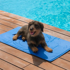 Cooling mat for dogs – dachshund resting on blue cooling pad by pool on wooden decking | Petifo