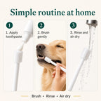 Three-step tutorial infographic for dog teeth brushing showing applying toothpaste, brushing, and rinsing.