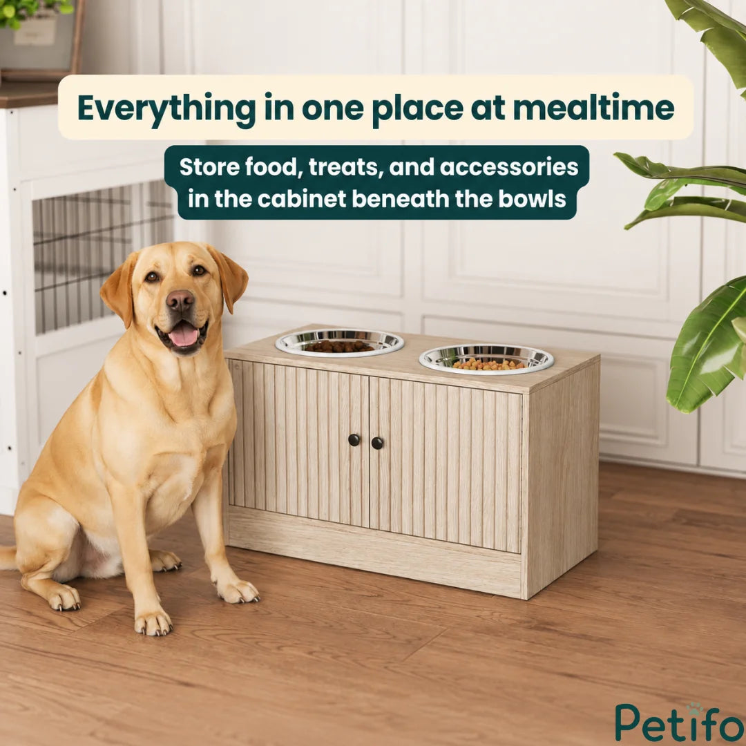 A stylish Petifo elevated feeding station with dual stainless steel bowls, designed to keep the feeding area clean and organized.