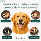 Educational graphic illustrating common dental problems in dogs, including plaque buildup, stained teeth, tooth loss, and enamel damage.