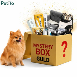 Perro