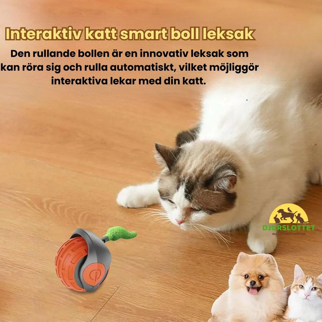 Felineo Spinball 2.0 Cat Toy Interactive cat smart ball toy -Djurslotet
