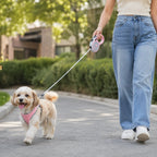 FlexiPet retractable lead More freedom - Petifo