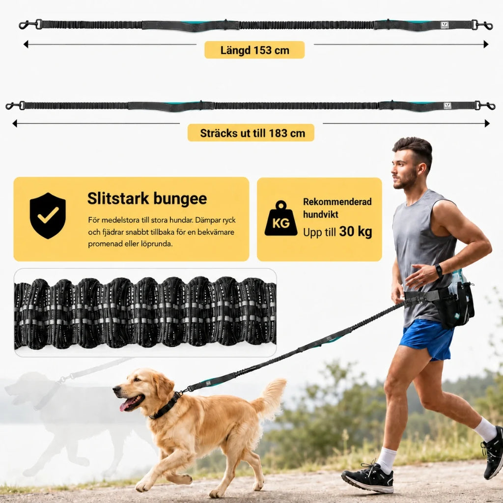 FreeRun Pro Training Lead with Waist Bag up to 30 kg - Petifo