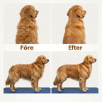FurFresh steam brush for pets after - Petifo