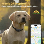 GPS Collar for Pets Precise GPS tracking - Petifo