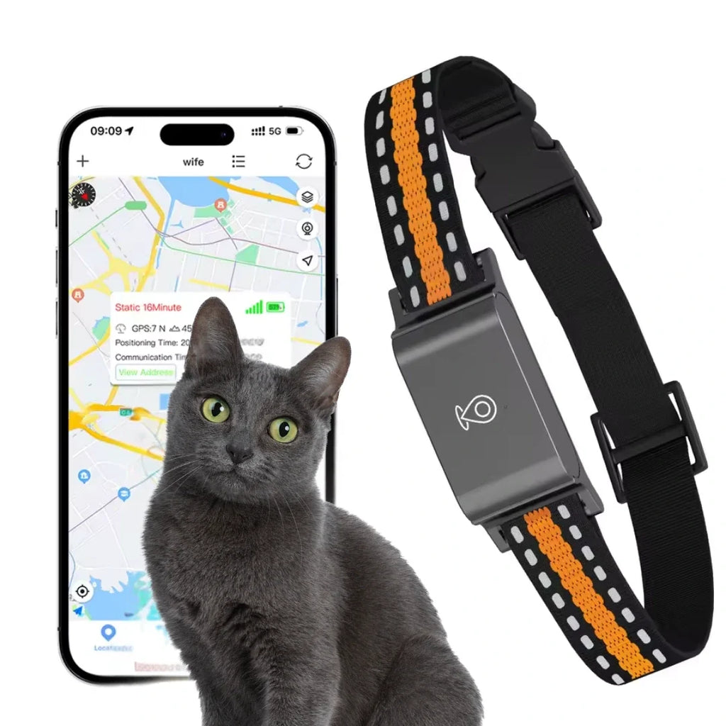 GPS collar for dogs and cats - Petifo