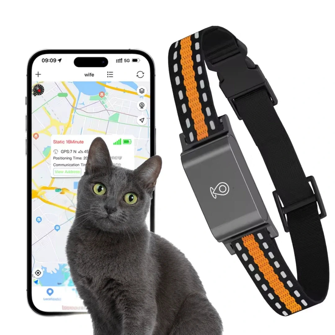 GPS collar for dogs and cats - Petifo