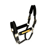 Cabestro acolchado Quilvera para caballos