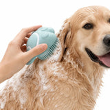 Cepillo para la ducha