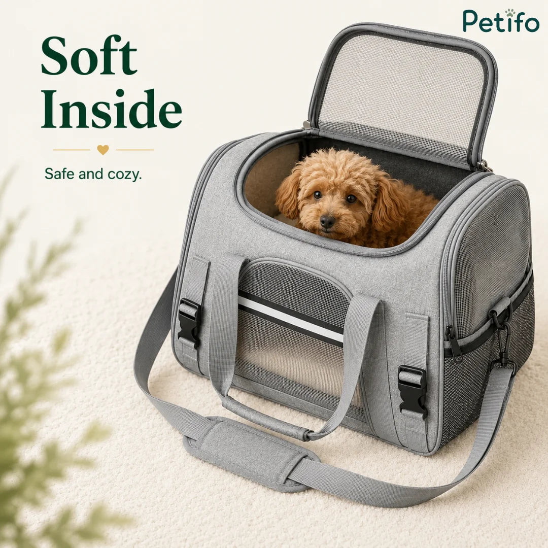 Poodle puppy resting cozily inside an open-top Petifo grey pet travel carrier.
