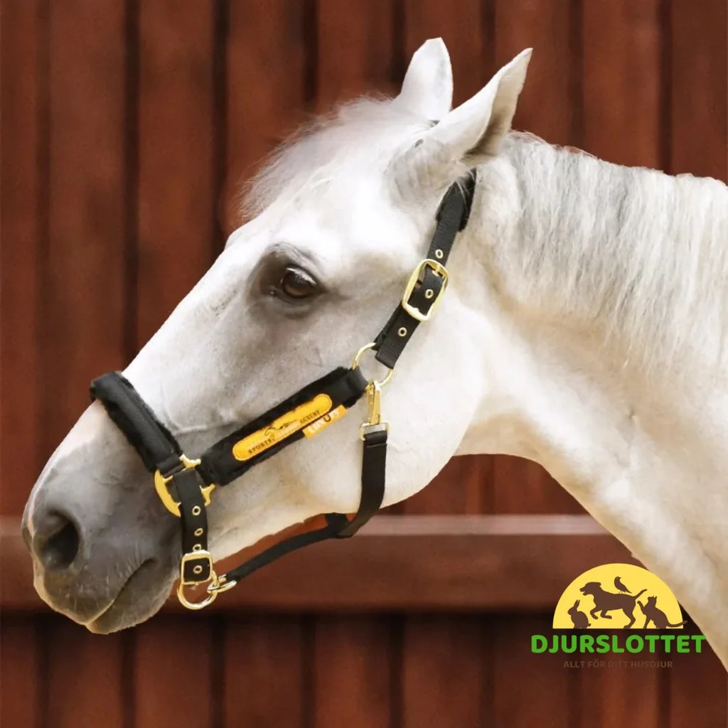 Padded Adjustable Horse Halter Soft padding - Petifo