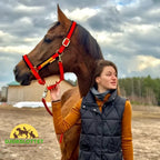 Padded Adjustable Horse Halter Stable buckles - Petifo