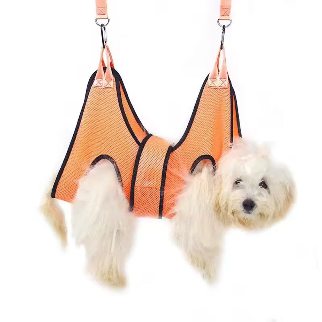 Grooming Hammock Comfort in focus - Petifo