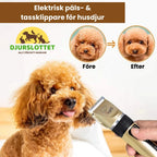 Grooming kit before and after - Petifo
